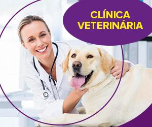 Clínica Veterinária