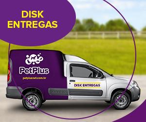  Disk Entregas